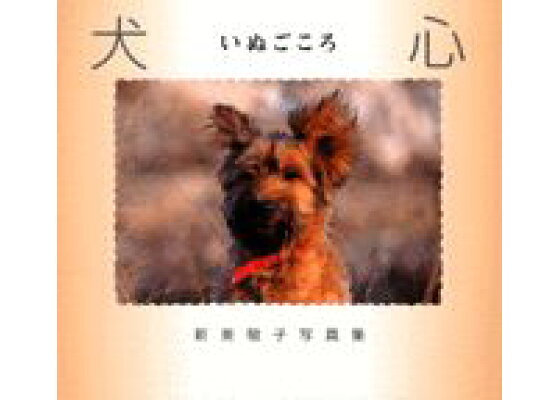 楽天ブックス 犬心 新美敬子写真集 新美敬子 本 楽天ブックス 犬心 新美敬子写真集 新美敬子 本